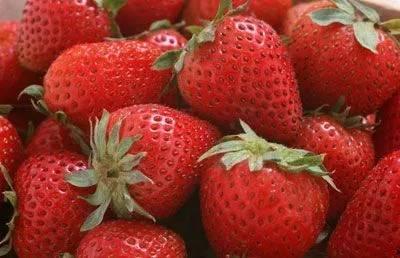 草莓皮肤爆料视频,视觉盛宴，带你领略独特魅力  第1张